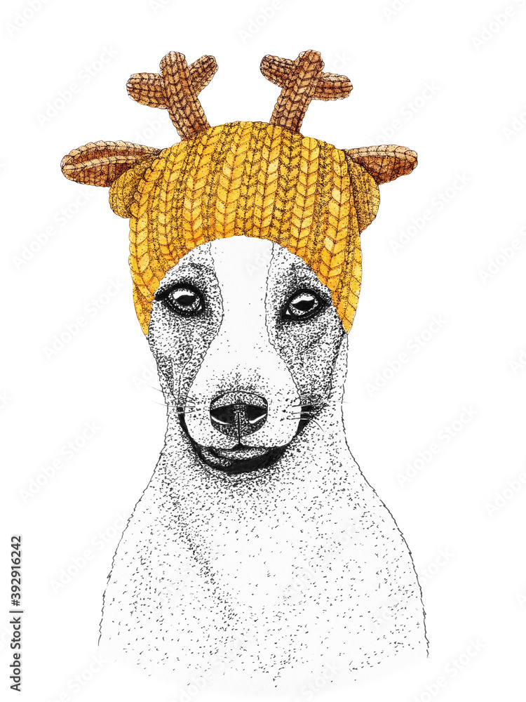 jack russell terrier with gold knitted hat and scarf. Hand drawn illustration of dressed dog. jack russell terrier with gold knitted hat and scarf. Hand drawn illustration of dressed dog.