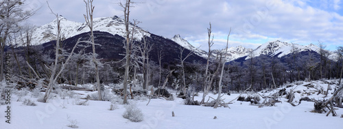 Hermoso paisaje montañoso de tierra del fuego ushuaia con árboles en invierno