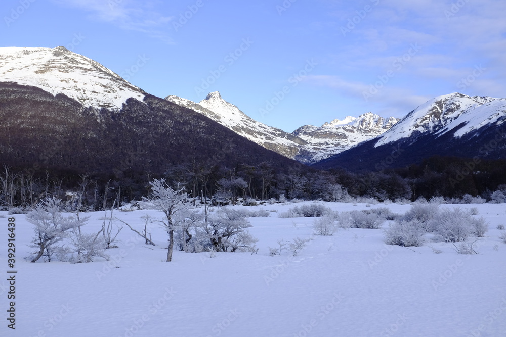 Hermoso paisaje de tierra del fuego ushuaia con montañas y árboles Hermoso paisaje de tierra del fuego ushuaia con montañas y árboles