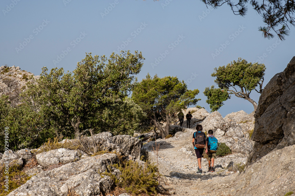 Obraz premium camino del Archiduque, - Camí de S'Arxiduc -, Valldemossa, Mallorca, Balearic Islands, Spain