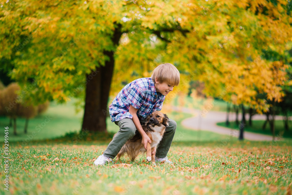 Cute boy playing and walking with his dog in a meadow. Cute boy playing and walking with his dog in a meadow.
