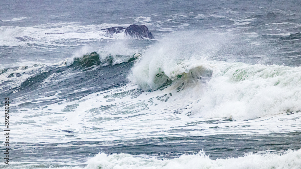 wave wave