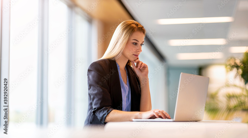 Young businesswoman using laptop in a modern office
Young businesswoman using laptop in a modern office
