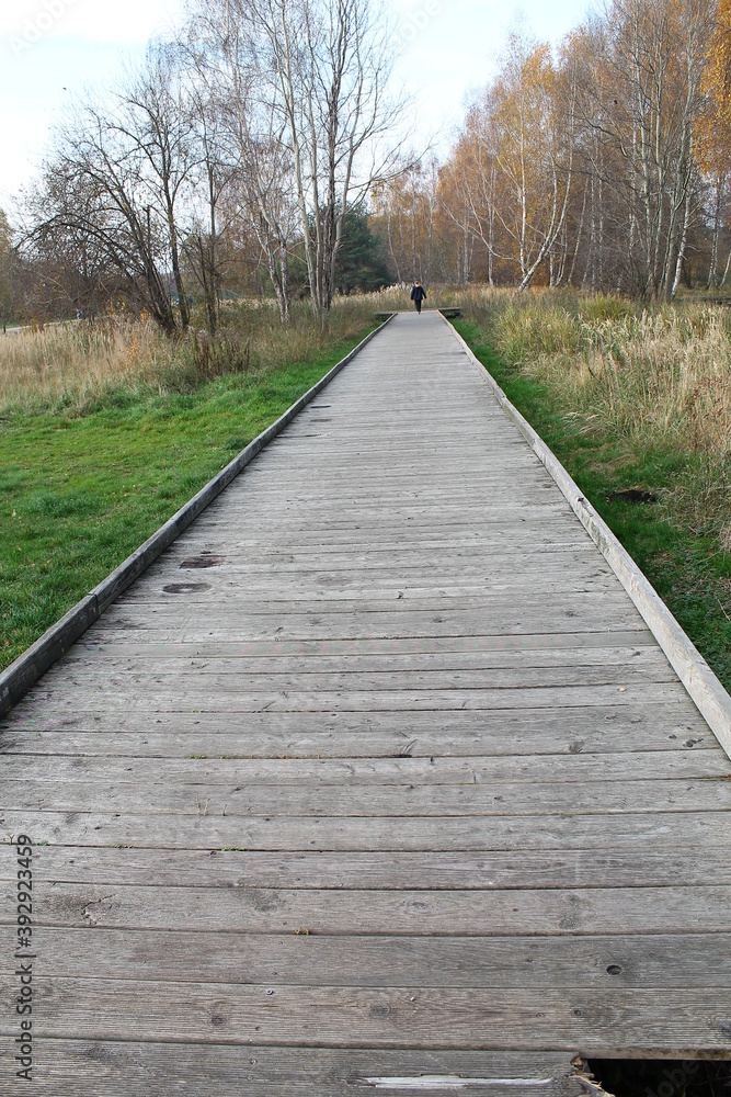 Beautiful park in Gdańsk in Poland.