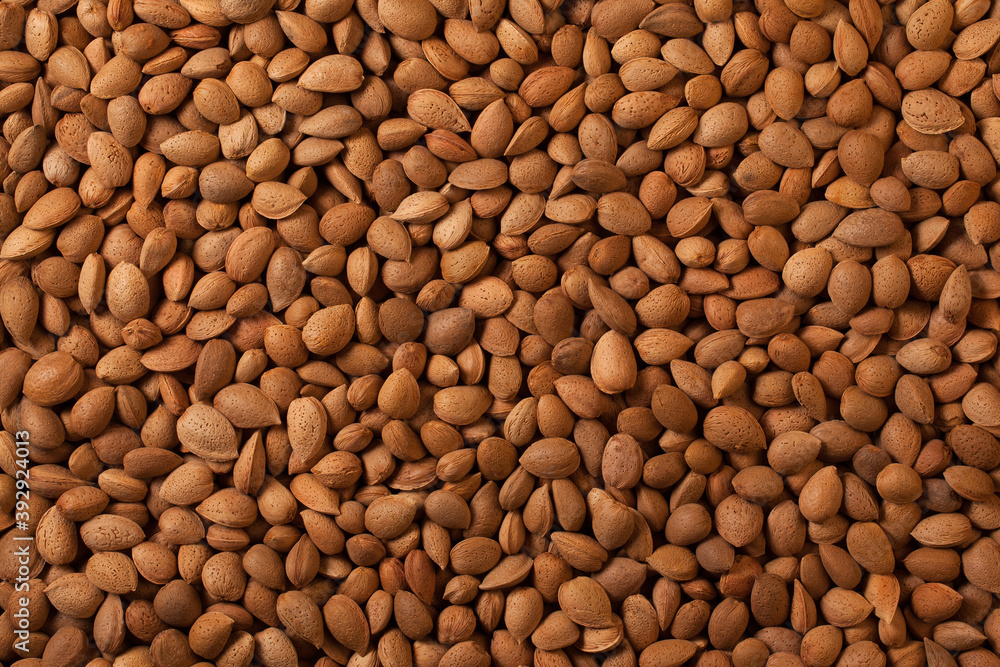Almonds Nut Background with Shell – Sicilian Almonds Nut Background with Shell – Sicilian