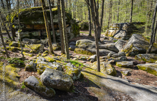 Allegany State Park