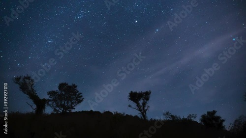 4k Timelapse of Star trails with trees in Talakona, Tirupati, Andhra Pradesh  photo