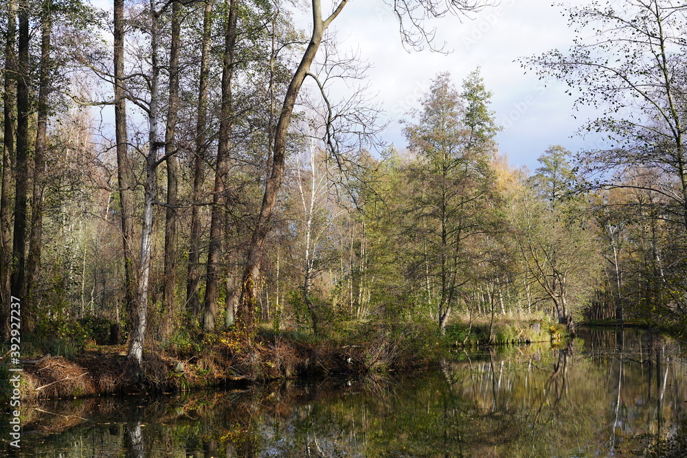 Herbstliche, sonnige Flusslandschaft im Spreewald