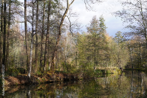 Herbstliche  sonnige Flusslandschaft im Spreewald