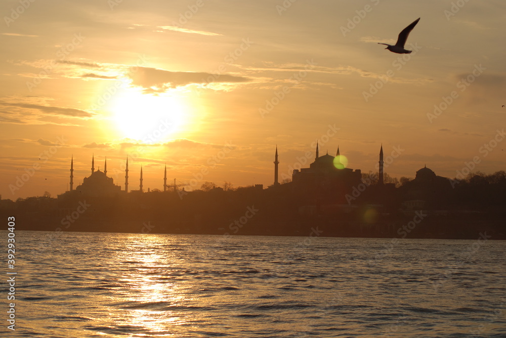 Sunset City Muslim Mosque Seagull Sea