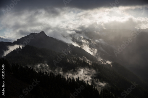 Beautiful landscape view of Hurricane Ridge during a foggy morning © Patrick