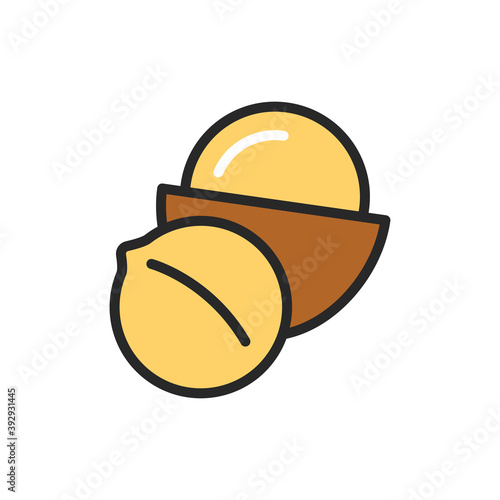 Macadamia color line icon. Isolated vector element. Outline pictogram for web page, mobile app, promo.