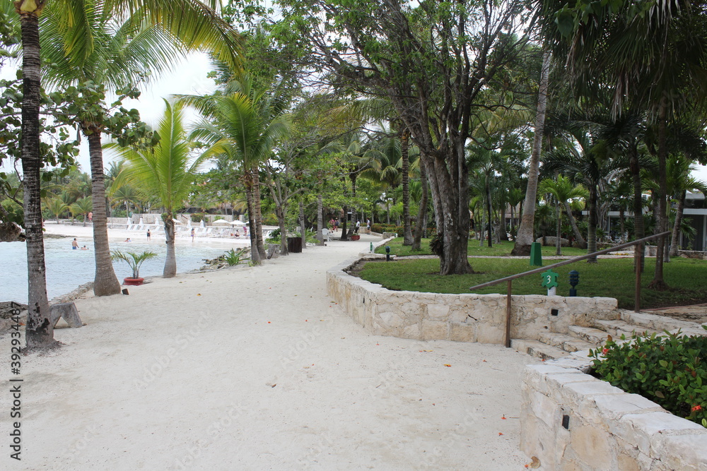 camino en una playa con árboles color verde y arena