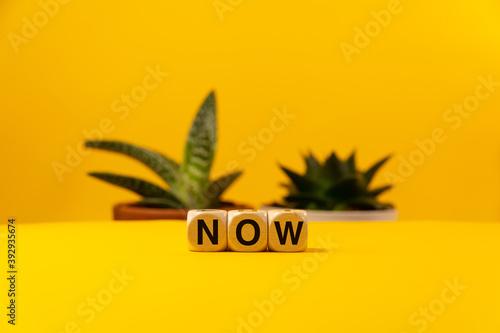 The word now written with wooden dices in front of a yellow planted background