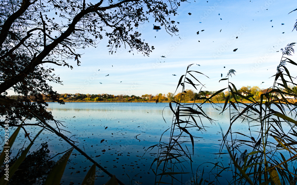 Fototapeta premium jesień nad wodą