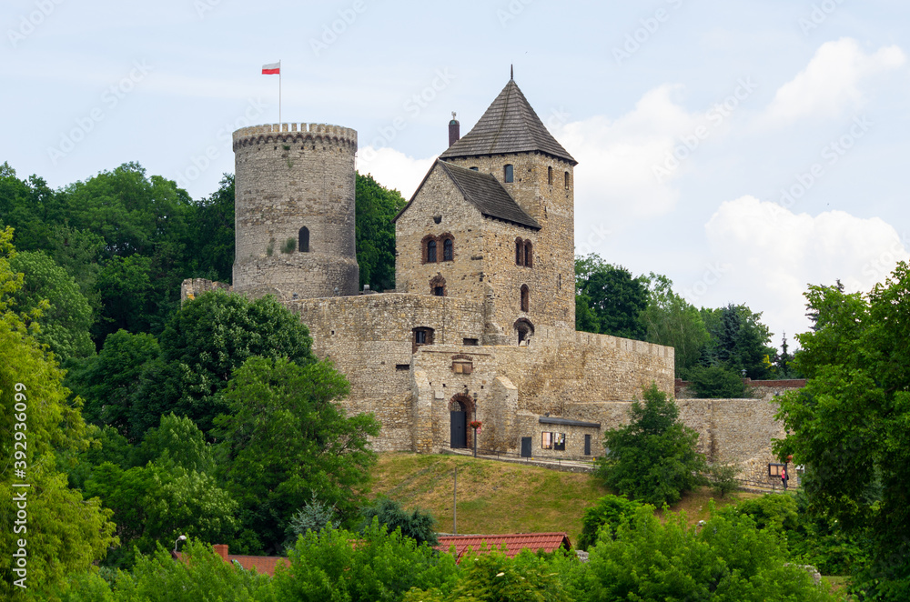 Castle of Bedzin, Silesia, Poland