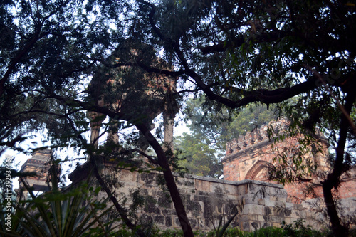 An archaeological monument obscured behind the thick leaves