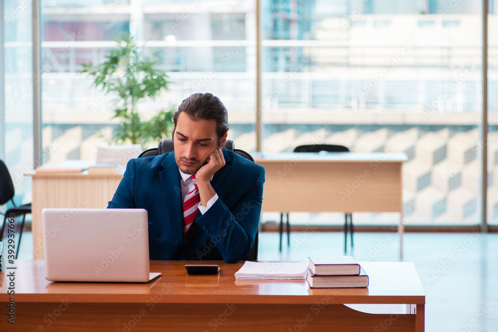 Young handsome employee working in the office Young handsome employee working in the office