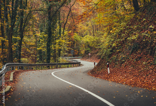 Tableau sur toile View of winding road