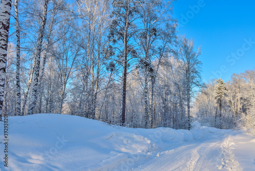 Snowy road through the frozen birch forest with snowdrifts and fluffy hoarfrost covered trees at bright sunny day with blue clear sky - beautiful sunshine winter landscape © rvo233