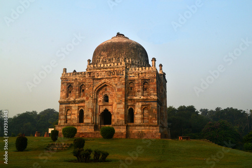 Trees with various kind of leaves in Lodhi Garden in Delhi, India