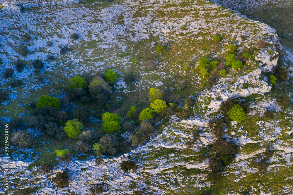 HOYAS o DOLINAS on Candina Mountain, Springtime, Encinar Cantábrico, Oak, Candina Mountain, Liendo, Liendo Valley, Montaña Oriental Costera, Cantabria, Spain, Europe HOYAS o DOLINAS on Candina Mountain, Springtime, Encinar Cantábrico, Oak, Candina Mountain, Liendo, Liendo Valley, Montaña Oriental Costera, Cantabria, Spain, Europe