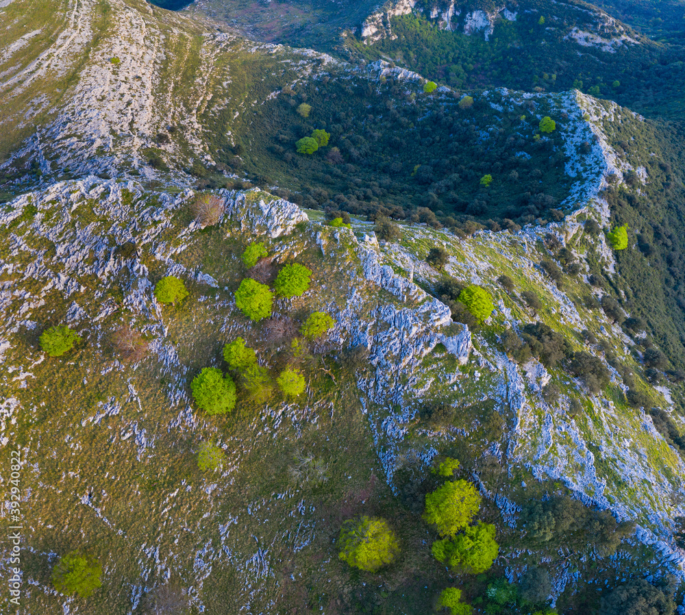 HOYAS o DOLINAS on Candina Mountain, Springtime, Encinar Cantábrico, Oak, Candina Mountain, Liendo, Liendo Valley, Montaña Oriental Costera, Cantabria, Spain, Europe