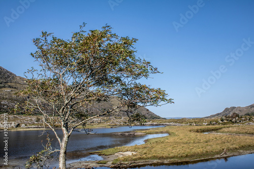 Shehy Mountains on the border between County Cork and County Kerry. When the icecaps retreated, they left behind hundreds of lakes in the valley photo