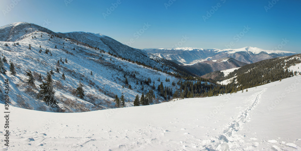 Winter mountains, panorama - snow-capped peaks of the  Alps. Panoramic landscape with beautiful snow covered summits in sunny day. Aerial view of high peaks