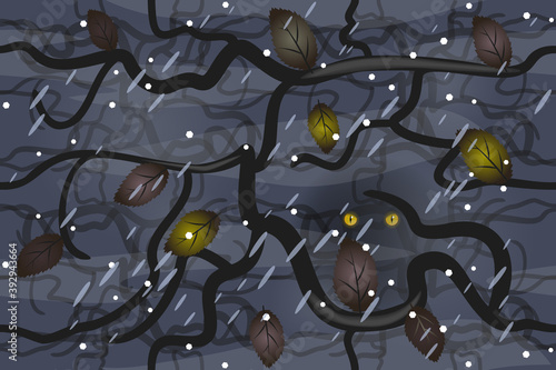 night winter forest and the eyes of a predator