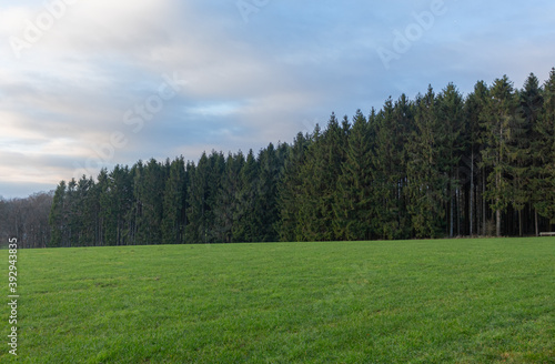 Beautiful landscape view hilly countryside fields with trees and forests