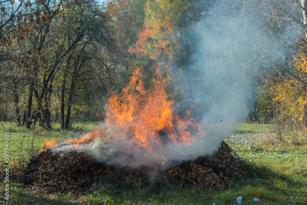 burning dry fallen leaves in rural areas. burning dry fallen leaves in rural areas.