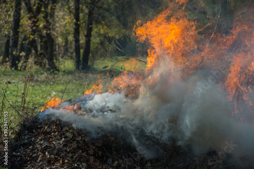burning dry fallen leaves in rural areas.