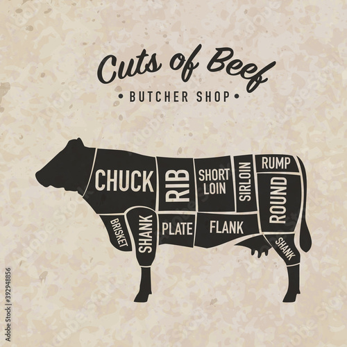Beef Meat Cuts. Diagram and scheme - Cow/Bull. Poster for butcher shop. Retro style. Vector illustration.