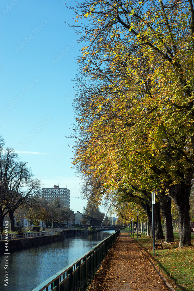 Mulhouse - France - 12 November 2020 - View of autumnal chestnut trees in border river Mulhouse - France - 12 November 2020 - View of autumnal chestnut trees in border river