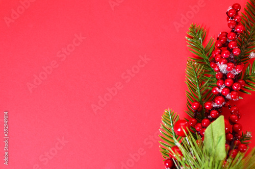 Christmas Tree decoration christmas tree branch  red berries  top view  copy space  new year or christmas holidays