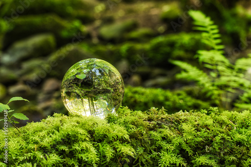 Black Forrest in a Lensball photo