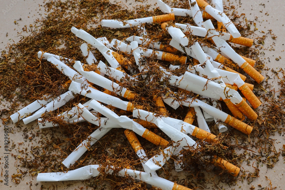 cigarette filters Blank top view on cigarette paper A few white