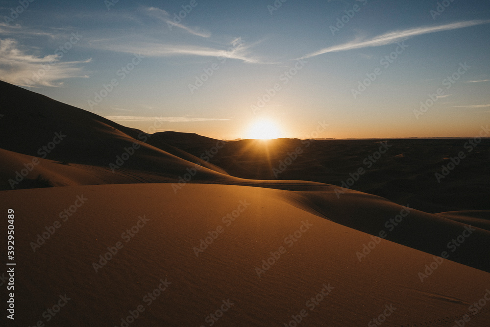 sunset in the dunes of the desert
sunset in the dunes of the desert
