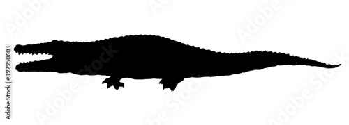 Crocodile. Vector drawing icon sign