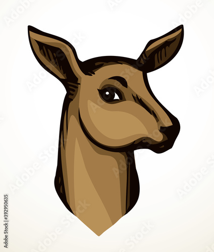 Beautiful noble deer. Vector drawing