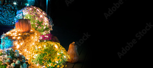 blooming colorful flowers with green leaves and pumpkin decorated with festive garland bulbs with glow close-up of plant in backyard of restaurant terrace christmas decor with copy space, nobody.