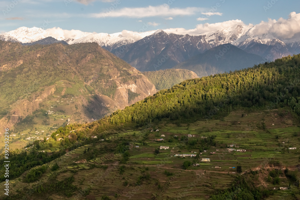 Scenic landscape of green rice fields and terraces and dense forests in the Himalayan village of Munsyari in Uttarakhand.