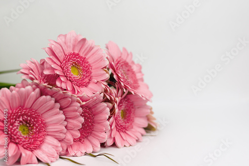 Fotografi Pink gerbera isolated on white background