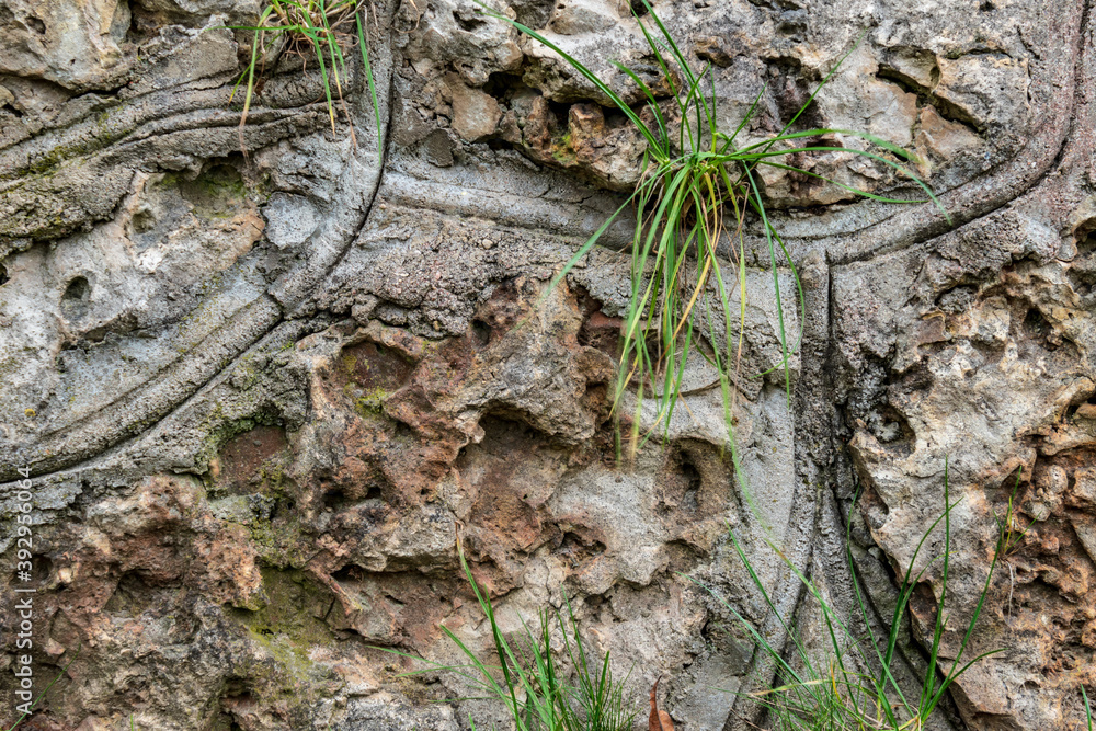 The old decorative dolomite wall has a grass The old decorative dolomite wall has a grass
