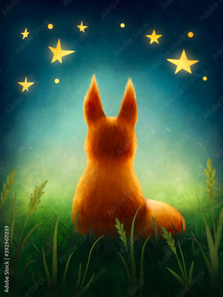 Fototapeta premium Little cute red fox