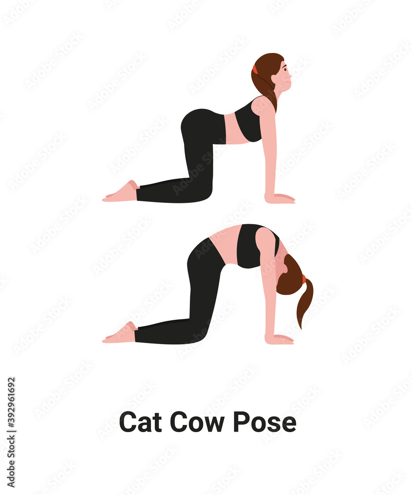 Cat Cow Pose (Marjaryasana Bitilasana) - How To Do Properly & Muscles Worked