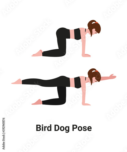 Girl do the Bird-Dog Exercise or Quadruped or Dandayamana Bharmanasana yoga pose for back pain. Flat vector cartoon illustration.