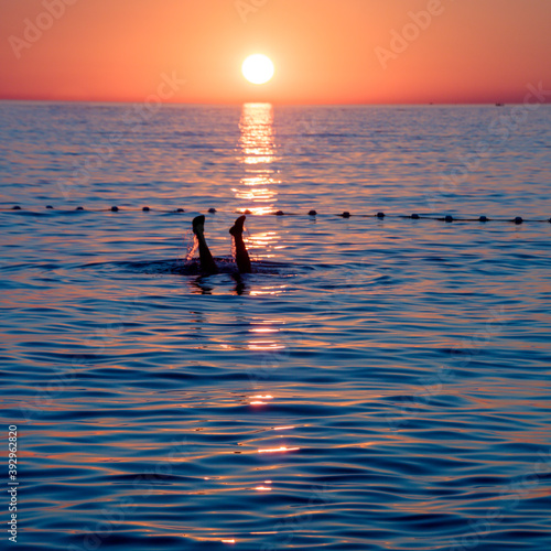 Fototapeta Naklejka Na Ścianę i Meble -  Coucher de soleil et jambes d une personne sortant de l eau, les vacances 