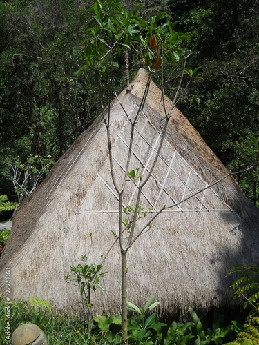 roofs made of natural materials are available in tropical climates